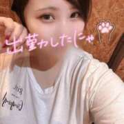 ヒメ日記 2025/05/24 18:05 投稿 せら ナチュラルプリンセス