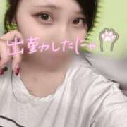 ヒメ日記 2025/05/27 18:15 投稿 せら ナチュラルプリンセス