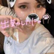 ヒメ日記 2025/08/12 17:55 投稿 せら ナチュラルプリンセス