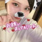 ヒメ日記 2025/08/12 20:52 投稿 せら ナチュラルプリンセス