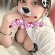 ヒメ日記 2025/08/14 08:52 投稿 せら ナチュラルプリンセス