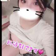 ヒメ日記 2025/08/19 08:16 投稿 せら ナチュラルプリンセス