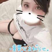 ヒメ日記 2025/08/26 07:16 投稿 せら ナチュラルプリンセス