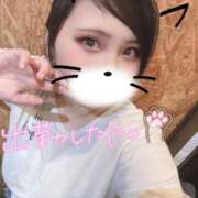 ヒメ日記 2025/08/29 18:06 投稿 せら ナチュラルプリンセス