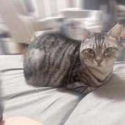 ヒメ日記 2025/09/06 21:55 投稿 せら ナチュラルプリンセス