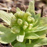ヒメ日記 2026/01/24 16:54 投稿 あきほ 大阪人妻援護会