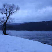 ヒメ日記 2026/01/27 19:47 投稿 あきほ 大阪人妻援護会