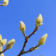 ヒメ日記 2026/02/02 11:24 投稿 あきほ 大阪人妻援護会