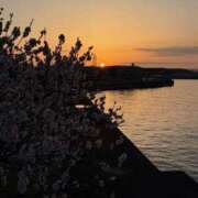 ヒメ日記 2026/03/28 12:17 投稿 あきほ 大阪人妻援護会