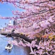 ヒメ日記 2026/03/29 17:21 投稿 あきほ 大阪人妻援護会