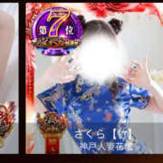 ヒメ日記 2025/11/12 12:23 投稿 さくら 大阪人妻援護会