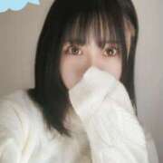 ヒメ日記 2025/02/25 12:00 投稿 みろ 世界のあんぷり亭 柏