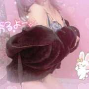 ヒメ日記 2025/04/03 12:32 投稿 ちさ プロフィール 大阪店