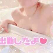 ヒメ日記 2025/06/12 10:42 投稿 ちさ プロフィール 大阪店