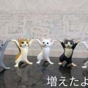 ヒメ日記 2025/10/12 07:26 投稿 ななみ 秘密倶楽部