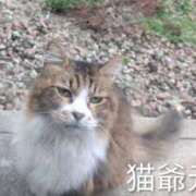 ヒメ日記 2025/10/19 07:48 投稿 ななみ 秘密倶楽部