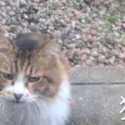 ヒメ日記 2025/11/04 08:44 投稿 ななみ 秘密倶楽部