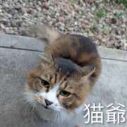 ヒメ日記 2025/11/17 06:23 投稿 ななみ 秘密倶楽部