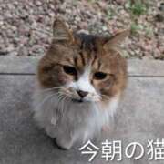 ヒメ日記 2025/11/25 07:24 投稿 ななみ 秘密倶楽部