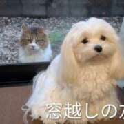 ヒメ日記 2025/11/29 07:27 投稿 ななみ 秘密倶楽部