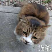 ヒメ日記 2025/12/17 08:03 投稿 ななみ 秘密倶楽部