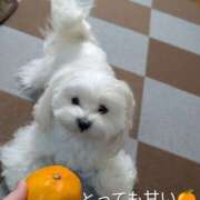 ヒメ日記 2025/12/25 07:42 投稿 ななみ 秘密倶楽部