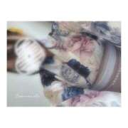 ヒメ日記 2025/08/02 06:47 投稿 あず ビギナーズ神戸