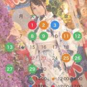 ヒメ日記 2026/08/22 08:37 投稿 あず ビギナーズ神戸