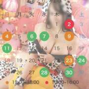 ヒメ日記 2026/09/22 22:37 投稿 あず ビギナーズ神戸