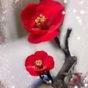 ヒメ日記 2026/02/11 00:36 投稿 恵理(えり) 人妻出逢い会 百合の園 新宿店