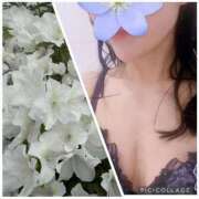 ヒメ日記 2026/04/21 22:26 投稿 恵理(えり) 人妻出逢い会 百合の園 新宿店