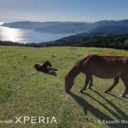あかね お祝いメッセージありがとうございます(*･ω･)*_ _)ﾍﾟｺﾘ 即アポ奥さん～浜松店～