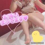 ヒメ日記 2025/06/16 07:18 投稿 のぞみ イエスグループ熊本 TSUBAKI(ツバキ)