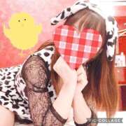 ヒメ日記 2025/08/12 22:14 投稿 のぞみ イエスグループ熊本 TSUBAKI(ツバキ)