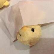 ヒメ日記 2025/10/23 20:15 投稿 のぞみ イエスグループ熊本 TSUBAKI(ツバキ)