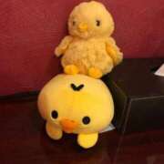 ヒメ日記 2025/11/30 15:30 投稿 のぞみ イエスグループ熊本 TSUBAKI(ツバキ)