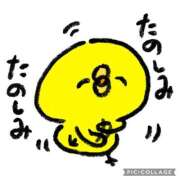 ヒメ日記 2026/02/01 10:07 投稿 のぞみ イエスグループ熊本 TSUBAKI(ツバキ)