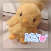 ヒメ日記 2026/04/24 03:30 投稿 のぞみ イエスグループ熊本 TSUBAKI(ツバキ)