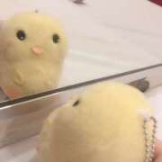 のぞみ 🐥明日の予定🐥 イエスグループ熊本 TSUBAKI(ツバキ)