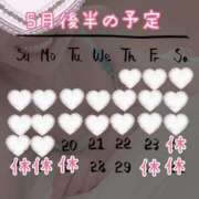 ヒメ日記 2025/05/20 08:48 投稿 みあ 素人アロマエステ東京密着ROOM 渋谷店