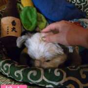 ヒメ日記 2025/05/04 12:32 投稿 松山 熟女の風俗最終章 新横浜店