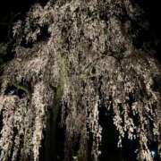 池脇真紀 ２ヶ月ぶり 五十路マダム金沢店