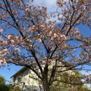 池脇真紀 そろそろ 五十路マダム金沢店