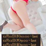 ヒメ日記 2024/12/08 09:35 投稿 弥生このは コウテイ