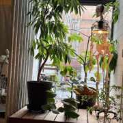 ヒメ日記 2025/01/24 11:25 投稿 弥生このは コウテイ