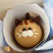 ヒメ日記 2025/04/08 07:05 投稿 弥生このは コウテイ