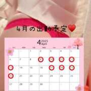 ヒメ日記 2025/04/11 18:01 投稿 弥生このは コウテイ