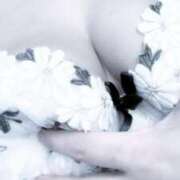 ヒメ日記 2025/01/04 06:07 投稿 まい ご近所物語