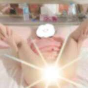 ヒメ日記 2025/01/18 13:47 投稿 まい ご近所物語