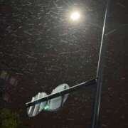 ヒメ日記 2025/02/05 01:00 投稿 まい ご近所物語